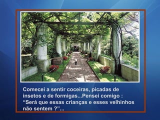 Comecei a sentir coceiras, picadas de
insetos e de formigas...Pensei comigo :
“Será que essas crianças e esses velhinhos
não sentem ?”...
 