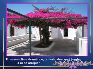 E nesse clima dramático, o morto desceu á tumba.
     ...Foi de arrepiar...
 