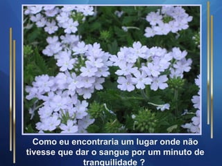 Como eu encontraria um lugar onde não
tivesse que dar o sangue por um minuto de
tranquilidade ?
 