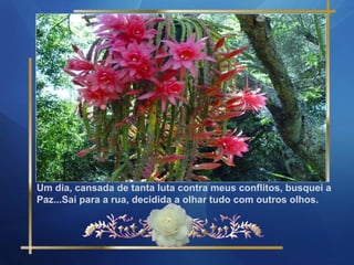 Um dia, cansada de tanta luta contra meus conflitos, busquei a
Paz...Sai para a rua, decidida a olhar tudo com outros olhos.
 