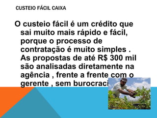 CUSTEIO FÁCIL CAIXA
O custeio fácil é um crédito que
sai muito mais rápido e fácil,
porque o processo de
contratação é muito simples .
As propostas de até R$ 300 mil
são analisadas diretamente na
agência , frente a frente com o
gerente , sem burocracia.
 