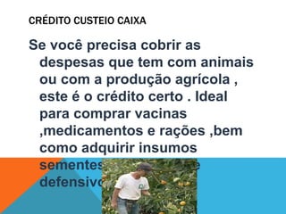 CRÉDITO CUSTEIO CAIXA
Se você precisa cobrir as
despesas que tem com animais
ou com a produção agrícola ,
este é o crédito certo . Ideal
para comprar vacinas
,medicamentos e rações ,bem
como adquirir insumos
sementes,fertilizantes e
defensivos
 
