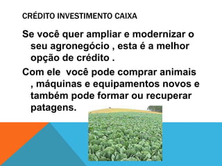 CRÉDITO INVESTIMENTO CAIXA
Se você quer ampliar e modernizar o
seu agronegócio , esta é a melhor
opção de crédito .
Com ele você pode comprar animais
, máquinas e equipamentos novos e
também pode formar ou recuperar
patagens.
 