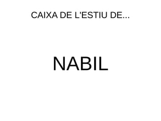 CAIXA DE L'ESTIU DE...
NABIL
 
