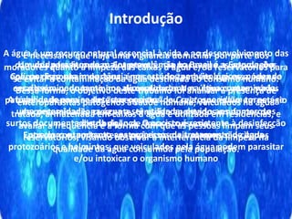 Introdução
A água é um recurso natural essencial à vida e ao desenvolvimento das
comunidades humanas. Entretanto, não basta que as populações
apenas disponham de água, é necessário também que essa água se
caracterize por um mínimo de qualidade. Nos últimos anos, vários
patógenos denominados "emergentes", ou seja, que estão em estágio
de contaminação crescente, têm sido apontados em fontes de
distribuição de água e consumo.
Entre os contaminantespatogênicos mais comuns são citados
protozoários e helmintos, que veiculados pela água podem parasitar
e/ou intoxicar o organismo humano
Um dos parasitos de maior prevalência no Brasil é a Entamoeba
Coli, por isso sua importância nos estudos parasitológicos, podendo
ser disseminado tanto nos alimentos como na água contaminada.
A habilidade para se detectar oocistos de Cryptosporidium tornou-se
uma necessidade, na água a ser utilizada, devido aos numerosos
surtos documentados da doença. O oocisto é resistente à desinfecção
por cloro e, portanto aos processos de tratamento de água
É necessário que haja uma vigilância domiciliar por parte dos
moradores quanto à limpeza das caixas d água e/ou reservatórios para
se evitar a contaminação da água destinada ao consumo humano.
Dessa forma, o objetivo deste trabalho foi analisar a presença de
enteroparasitas patógenos à saúde humana, veiculados na água
tratada, armazenada em caixas d água e utilizada em residências, e
avaliar a freqüência e a forma com que as pessoas limpam seus
reservatórios, visando observar a interferência da limpeza na
qualidade da água consumida pela população.
 