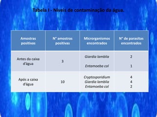 Tabela I - Níveis de contaminação da água.
Amostras
positivas
N° amostras
positivas
Microrganismos
encontrados
N° de parasitas
encontrados
Antes da caixa
d’água
3
Giardia lamblia
Entamoeba col
2
1
Após a caixa
d’água
10
Cryptosporidium
Giardia lamblia
Entamoeba col
4
4
2
 