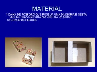 MATERIAL  1 CAIXA DE FÓSFORO QUE POSSUA UMA DIVISÓRIA E NESTA QUE SE FAÇA UM FURO NO CENTRO DA CAIXA 10 GRÃOS DE FEIJÕES 