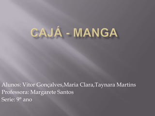 Cajá - Manga Alunos: Vitor Gonçalves,Maria Clara,Taynara Martins Professora: Margarete Santos Serie: 9° ano 