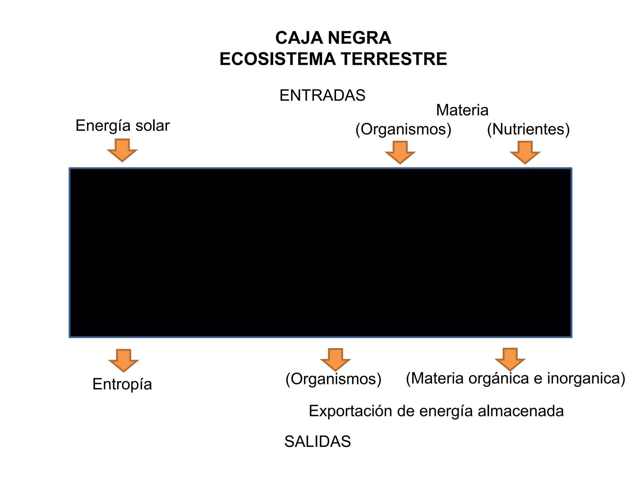 Ecosistemas terrestres (Modelo de caja blanca y caja negra)