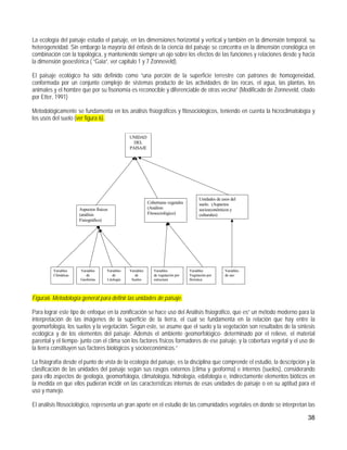 La ecología del paisaje estudia el paisaje, en las dimensiones horizontal y vertical y también en la dimensión temporal, su
heterogeneidad. Sin embargo la mayoría del énfasis de la ciencia del paisaje se concentra en la dimensión cronológica en
combinación con la topológica, y manteniendo siempre un ojo sobre los efectos de las funciones y relaciones desde y hacia
la dimensión geoesférica ( “Gaia”, ver capitulo 1 y 7 Zonneveld).

El paisaje ecológico ha sido definido como “una porción de la superficie terrestre con patrones de homogeneidad,
conformada por un conjunto complejo de sistemas producto de las actividades de las rocas, el agua, las plantas, los
animales y el hombre que por su fisonomía es reconocible y diferenciable de otras vecina” (Modificado de Zonneveld, citado
por Etter, 1991)

Metodológicamente se fundamenta en los análisis fisiográficos y fitosociológicos, teniendo en cuenta la hicroclimatología y
los usos del suelo (ver figura 6).

                                                 UNIDAD
                                                   DEL
                                                 PAISAJE




                                                                                          Unidades de usos del
                                                             Coberturas vegetales         suelo. (Aspectos
                      Aspectos físicos                       (Análisis                    socioeconómicos y
                      (análisis                              Fitosociológico)             culturales)
                      Fisiográfico)




         Variables    Variables      Variables   Variables      Variables           Variables           Variables
         Climáticas      de             de          de          de vegetación por   Vegetación por      de uso
                      Geoforma       Litología    Suelos        estructura          florística




Figura6. Metodología general para definir las unidades de paisaje.

Para lograr este tipo de enfoque en la zonificación se hace uso del Análisis fisiográfico, que es” un método moderno para la
interpretación de las imágenes de la superficie de la tierra, el cual se fundamenta en la relación que hay entre la
geomorfología, los suelos y la vegetación. Según este, se asume que el suelo y la vegetación son resultados de la síntesis
ecológica y de los elementos del paisaje. Además el ambiente geomorfológico- determinado por el relieve, el material
parental y el tiempo- junto con el clima son los factores físicos formadores de ese paisaje, y la cobertura vegetal y el uso de
la tierra constituyen sus factores biológicos y socioeconómicos.”

La fisiografía desde el punto de vista de la ecología del paisaje, es la disciplina que comprende el estudio, la descripción y la
clasificación de las unidades del paisaje según sus rasgos externos (clima y geoforma) e internos (suelos), considerando
para ello aspectos de geología, geomorfología, climatología, hidrología, edafología e, indirectamente elementos bióticos en
la medida en que ellos pudieran incidir en las características internas de esas unidades de paisaje o en su aptitud para el
uso y manejo.

El análisis fitosociológico, representa un gran aporte en el estudio de las comunidades vegetales en donde se interpretan las

                                                                                                                             38
 