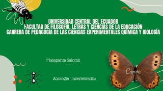 UNIVERSIDAD CENTRAL DEL ECUADOR
FACULTAD DE FILOSOFÍA, LETRAS Y CIENCIAS DE LA EDUCACIÓN
CARRERA DE PEDAGOGÍA DE LAS CIENCIAS EXPERIMENTALES QUÍMICA Y BIOLOGÍA




Masapanta Salomé
Zoología Invertebrados
 