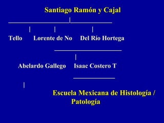 Santiago Ramón y CajalSantiago Ramón y Cajal
___________________|________________________________|_____________
| | || | |
Tello Lorente de No Del Río HortegaTello Lorente de No Del Río Hortega
__________________________________________
||
Abelardo Gallego Isaac Costero TAbelardo Gallego Isaac Costero T
__________________________
||
Escuela Mexicana de Histología /Escuela Mexicana de Histología /
PatologíaPatología
 