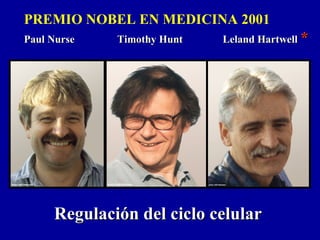 PREMIO NOBEL EN MEDICINA 2001
Paul Nurse Timothy Hunt Leland HartwellPaul Nurse Timothy Hunt Leland Hartwell **
Regulación del ciclo celularRegulación del ciclo celular
 