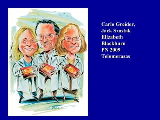 Carlo Greider,Carlo Greider,
Jack SzostakJack Szostak
ElizabethElizabeth
BlackburnBlackburn
PN 2009PN 2009
TelomerasasTelomerasas
 