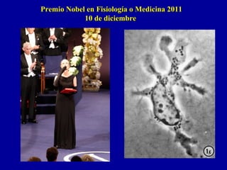 Premio Nobel en Fisiología o Medicina 2011Premio Nobel en Fisiología o Medicina 2011
10 de diciembre10 de diciembre
 