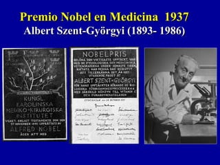 Premio Nobel en Medicina 1937Premio Nobel en Medicina 1937
Albert Szent-Györgyi (1893- 1986)Albert Szent-Györgyi (1893- 1986)
 