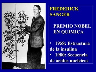 FREDERICKFREDERICK
SANGERSANGER
PREMIO NOBELPREMIO NOBEL
EN QUIMICAEN QUIMICA
• 1958: Estructura1958: Estructura
de la insulinade la insulina
• 1980: Secuencia1980: Secuencia
de ácidos nucleicosde ácidos nucleicos
 