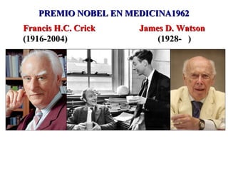 Francis H.C. Crick James D. WatsonFrancis H.C. Crick James D. Watson
(1916-2004) (1928- )(1916-2004) (1928- )
PREMIO NOBEL EN MEDICINA1962PREMIO NOBEL EN MEDICINA1962
 