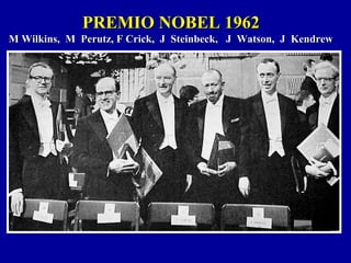 PREMIO NOBEL 1962PREMIO NOBEL 1962
M Wilkins, M Perutz, F Crick, J Steinbeck, J Watson, J KendrewM Wilkins, M Perutz, F Crick, J Steinbeck, J Watson, J Kendrew
 
