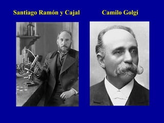 Santiago Ramón y Cajal Camilo GolgiSantiago Ramón y Cajal Camilo Golgi
 