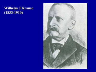 Wilhelm J KrauseWilhelm J Krause
(1833-1910)(1833-1910)
 
