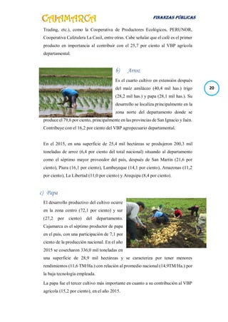 FINANZAS PÚBLICAS
20
Trading, etc.), como la Cooperativa de Productores Ecológicos, PERUNOR,
Cooperativa Cafetalera La Casil, entre otras. Cabe señalar que el café es el primer
producto en importancia al contribuir con el 25,7 por ciento al VBP agrícola
departamental.
b) Arroz
Es el cuarto cultivo en extensión después
del maíz amiláceo (40,4 mil has.) trigo
(28,2 mil has.) y papa (28,1 mil has.). Su
desarrollo se localiza principalmente en la
zona norte del departamento donde se
produce el 79,6 por ciento, principalmente en las provincias de San Ignacio y Jaén.
Contribuye con el 16,2 por ciento del VBP agropecuario departamental.
En el 2015, en una superficie de 25,4 mil hectáreas se produjeron 200,3 mil
toneladas de arroz (6,4 por ciento del total nacional) situando al departamento
como el séptimo mayor proveedor del país, después de San Martín (21,6 por
ciento), Piura (16,1 por ciento), Lambayeque (14,1 por ciento), Amazonas (11,2
por ciento), La Libertad (11,0 por ciento) y Arequipa (8,4 por ciento).
c) Papa
El desarrollo productivo del cultivo ocurre
en la zona centro (72,1 por ciento) y sur
(27,2 por ciento) del departamento.
Cajamarca es el séptimo productor de papa
en el país, con una participación de 7,1 por
ciento de la producción nacional. En el año
2015 se cosecharon 336,0 mil toneladas en
una superficie de 28,9 mil hectáreas y se caracteriza por tener menores
rendimientos (11,6 TM/Ha.) con relación al promedio nacional (14,9TM/Ha.) por
la baja tecnología empleada.
La papa fue el tercer cultivo más importante en cuanto a su contribución al VBP
agrícola (15,2 por ciento), en el año 2015.
 