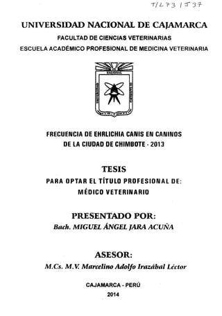 UNIVERSIDAD NACIONAL DE CAJAMARCA
FACULTAD DE CIENCIAS VETERINARIAS
ESCUELA ACADÉMICO PROFESIONAL DE MEDICINA VETERINARIA
FRECUENCIA DE EHRLICHIA CANIS EN CANINOS
DE LA CIUDAD DE CHIMBOTE · 2013
TESIS
PARA OPTAR EL TITULO PROFESIONAL DE:
MÉDICO VETERINARIO
PRESENTADO POR:
, ~
Bach. MIGUEL ANGEL JARA ACUNA
ASESOR:
M.Cs. M. V. Marcelino Adolfo Irazábal Léctor
CAJAMARCA - PERÚ
2014
 