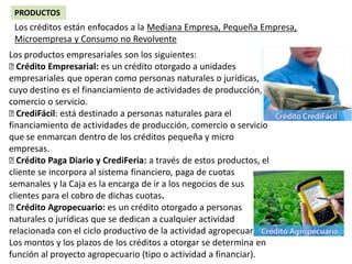 PRODUCTOS
Los créditos están enfocados a la Mediana Empresa, Pequeña Empresa,
Microempresa y Consumo no Revolvente
Los productos empresariales son los siguientes:
Crédito Empresarial: es un crédito otorgado a unidades
empresariales que operan como personas naturales o jurídicas,
cuyo destino es el financiamiento de actividades de producción,
comercio o servicio.
CrediFácil: está destinado a personas naturales para el
financiamiento de actividades de producción, comercio o servicio
que se enmarcan dentro de los créditos pequeña y micro
empresas.
Crédito Paga Diario y CrediFeria: a través de estos productos, el
cliente se incorpora al sistema financiero, paga de cuotas
semanales y la Caja es la encarga de ir a los negocios de sus
clientes para el cobro de dichas cuotas.
Crédito Agropecuario: es un crédito otorgado a personas
naturales o jurídicas que se dedican a cualquier actividad
relacionada con el ciclo productivo de la actividad agropecuaria.
Los montos y los plazos de los créditos a otorgar se determina en
función al proyecto agropecuario (tipo o actividad a financiar).
 