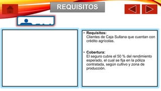 REQUISITOS
• Requisitos:
Clientes de Caja Sullana que cuentan con
crédito agrícolas.
• Cobertura:
El seguro cubre el 50 % del rendimiento
esperado, el cual se fija en la póliza
contratada, según cultivo y zona de
producción.
 