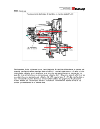 ÁREA: Mecánica
Se comprueba en las siguientes figuras como hay cajas de cambios diseñadas de tal manera que
se sitúan los sincronizadores tanto en el eje primario (2) como en el secundario (12) y los piñones
no son todos solidarios en un eje y locos en el otro, sino que se distribuyen en los dos ejes por
igual. En el eje primario tenemos como piñones solidarios (6, 7 y 8) y como locos (3 y 5). En el eje
secundario tenemos como piñones solidarios (12 y 14) y como locos (9 y 11). La marcha atrás se
hace intercalando un piñón de reenvío entre el piñón solidario del eje primario (7) y la corona
externa dentada del sincronizador de 1ª/2ª. Se aprecian claramente los dientes rectos de los
piñones que intervienen en la marcha atrás.
 
