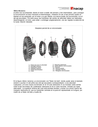 ÁREA: Mecánica
el piñón loco es arrastrado desde el motor a través del primario y tren intermediario, para conseguir
la sincronización se hace necesario el desembrague, mediante el cual, el eje primario queda en
libertad sin ser arrastrado por el motor y su giro debido a la inercia puede ser sincronizado con el
del eje secundario. Por esta causa, las maniobras del cambio de velocidad deben ser realizadas
desembragando el motor, para volver a embragar progresivamente una vez lograda la selección de
la nueva relación deseada.
En la figura inferior tenemos un sincronizador con "fiador de bola", donde puede verse el dentado
exterior o auxiliar (1) del piñón loco del eje secundario (correspondiente a una velocidad
cualquiera) y el cono macho (2) formado en él. El cubo deslizante (7) va montado sobre estrías
sobre el eje secundario (8), pudiéndose deslizarse en él un cierto recorrido, limitado por topes
adecuados. La superficie externa del cubo está estriada también y recibe a la corona interna del
manguito deslizante (3), que es mantenida centrada en la posición representada en la figura, por
medio de un fiador de bola y muelle (6).
 