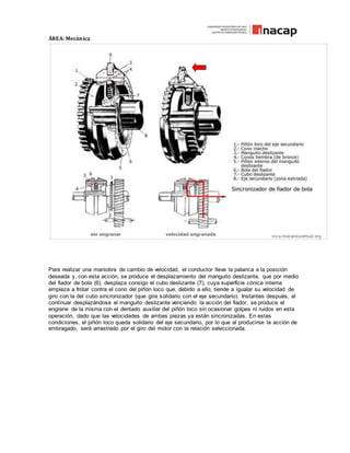 ÁREA: Mecánica
Para realizar una maniobra de cambio de velocidad, el conductor lleva la palanca a la posición
deseada y, con esta acción, se produce el desplazamiento del manguito deslizante, que por medio
del fiador de bola (6), desplaza consigo el cubo deslizante (7), cuya superficie cónica interna
empieza a frotar contra el cono del piñón loco que, debido a ello, tiende a igualar su velocidad de
giro con la del cubo sincronizador (que gira solidario con el eje secundario). Instantes después, al
continuar desplazándose el manguito deslizante venciendo la acción del fiador, se produce el
engrane de la misma con el dentado auxiliar del piñón loco sin ocasionar golpes ni ruidos en esta
operación, dado que las velocidades de ambas piezas ya están sincronizadas. En estas
condiciones, el piñón loco queda solidario del eje secundario, por lo que al producirse la acción de
embragado, será arrastrado por el giro del motor con la relación seleccionada.
 
