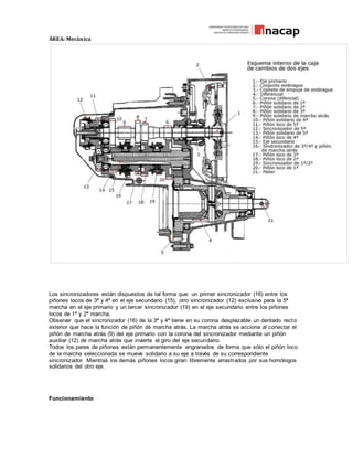 ÁREA: Mecánica
Los sincronizadores están dispuestos de tal forma que: un primer sincronizador (16) entre los
piñones locos de 3ª y 4ª en el eje secundario (15), otro sincronizador (12) exclusivo para la 5ª
marcha en el eje primario y un tercer sincronizador (19) en el eje secundario entre los piñones
locos de 1ª y 2ª marcha.
Observar que el sincronizador (16) de la 3ª y 4ª tiene en su corona desplazable un dentado recto
exterior que hace la función de piñón dé marcha atrás. La marcha atrás se acciona al conectar el
piñón de marcha atrás (9) del eje primario con la corona del sincronizador mediante un piñón
auxiliar (12) de marcha atrás que invierte el giro del eje secundario.
Todos los pares de piñones están permanentemente engranados de forma que sólo el piñón loco
de la marcha seleccionada se mueve solidario a su eje a través de su correspondiente
sincronizador. Mientras los demás piñones locos giran libremente arrastrados por sus homólogos
solidarios del otro eje.
Funcionamiento
 