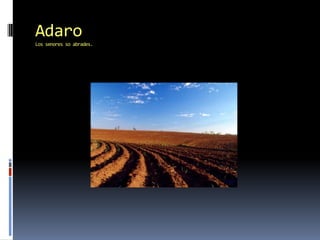 Adaro Los senores so abrades.