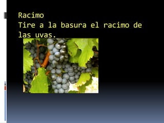 RacimoTire a la basura el racimo de las uvas.