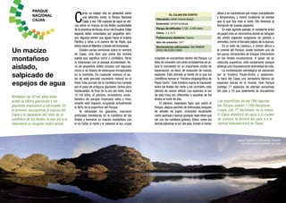 5
PARQUE
NACIONAL
CAJAS
Un macizo
montañoso
aislado,
salpicado de
espejos de agua
C
omo un espejo roto en pedacitos sobre
una alfombra verde, el Parque Nacional
Cajas y sus 786 cuerpos de agua se ubi-
can sobre un macizo en los Andes occidentales
de la provincia deAzuay,al sur del Ecuador.Estas
lagunas están conectadas por pequeños arro-
yos. Algunos vierten sus aguas hacia el océano
Pacífico y, otros, a la cuenca del río Paute, que
drena hacia elAtlántico a través delAmazonas.
Existen varias versiones sobre el nombre
de Cajas. Una dice que viene del kichwa
kahas que significa cerro o cordillera. Otras
lo relacionan con el paisaje accidentado, lle-
no de pequeños valles rocosos con lagunas,
como si se tratara de estanques encajonados
en la montaña. De cualquier manera, el au-
tor de este peculiar escenario natural es el
hielo. Esta porción de la cordillera fue cortada
por el paso de antiguos glaciares, lentos pero
implacables. Al final de la era del hielo, hace
10 mil años, el páramo, ecosistema carac-
terístico de parajes tropicales altos y fríos,
invadió este espacio, ocupando actualmente
el 90% de la superficie del Parque.
Al retroceder los glaciares, marcaron
profundas hendiduras en la cordillera de los
Andes y formaron un macizo montañoso con
el río Cañar al norte y el Jubones al sur, cuyas
4
Alrededor de 10 mil años atrás,
acabó la última glaciación y los
glaciares empezaron a retroceder. En
el proceso, esculpieron el macizo del
Cajas y lo separaron del resto de la
cordillera de los Andes, lo que dio a la
naturaleza su singular rostro actual.
cúspides se encuentran dentro del Parque. La
falta de conexión con otros ecosistemas de al-
tura lo convierten en un importante centro de
especiación, es decir, de evolución de nuevas
especies. Está ubicado al borde de lo que los
científicos llaman la “frontera biogeográfica de
Paute-Girón”. Esta frontera marca la transición
entre los Andes del norte y los centrales, esto
útlimos de menor altitud. Las especies al sur
de esta línea son diferentes a aquellas de los
Andes al norte de ella.
El páramo, esponjoso tapiz que cubre el
Parque, abarca parches de intrincados bosques
de árboles de papel, conocidos localmente
como queñual o quinua (aunque nada tiene que
ver con los nutritivos granos). Estos, como los
demás páramos al sur del país, inician a menor
altura y se caracterizan por mayor precipitación
y temperatura, y menor incidencia de vientos
que la que hay más al norte. Ello favorece la
formación de nuevas especies.
En este agreste paisaje, el resistente árbol
de papel crea un microclima donde se refugian
del viento especies singulares de plantas y
animales, como el llamado pájaro de la quinua.
En el valle de Llaviucu, a menor altura y
al oriente del Parque, existe también uno de
los pocos remanentes de bosque interandino
en los Andes ecuatorianos. A pesar de su
reducida superficie, este exuberante bosque
alberga una impresionante diversidad de vida.
La combinación estratégica de ubicación
(en la frontera Paute-Girón) y aislamien-
to hace del Cajas una verdadera fábrica de
especies únicas en el mundo. Este Parque
protege 71 especies de plantas exclusivas
del país y 16 que solamente se encuentran
Las superficies de las 786 lagunas
del Parque suman 1 199 hectáreas.
Luspa, con 77 hectáreas, es la mayor.
El Cajas abastece de agua a la ciudad
de Cuenca, la tercera del país, y a la
central hidroeléctrica de Paute.
Laguna Toreadora (3 900 msnm). Rodearla
a pie toma aproximadamente una hora.
EL CAJAS EN CORTO
Ubicación: cantón Cuenca (Azuay)
Extensión: 28 544 hectáreas
Rango de altitudes: 3 150 - 4 445 msnm
Clima: -2 a 18 ºC
Poblaciones aledañas: Cuenca
Año de creación: 1977
Declaratorias adicionales: Sitio RAMSAR
(2002), IBA EC063 (2008)
 