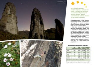 6 7
Por la abundancia de hábitats
acuáticos, el Cajas es un paraíso para los
anfibios. El 88% de los que aquí ocurren
son exclusivos del Parque, incluyendo
los últimos “jambatos” de altura,
sobrevivientes a las aceleradas extinciones
que han sucedido en este grupo.
en esta área protegida. El Cajas también es
famoso entre los amantes de las aves porque
aquí se pueden ver especies amenazadas,
como la xenodacnis y el colibrí de garganta
violeta, que solo se halla en el Parque.
Estos datos demuestran la importancia
del Parque como refugio de especies únicas
y amenazadas con desaparecer, y como una
increíble reserva de agua. Por eso el Cajas ha
sido declarado sitio RAMSAR de importancia
internacional para la protección de humedales
y Área de Importancia para la Conservación de
las Aves (IBA, por sus siglas en inglés).
La unión de todos estos elementos
naturales –agua, geografía, seres vivos y
clima– es lo que le da el encanto a este
parque natural.
Flora
Mamíferos
Aves
Anfibios
Reptiles
Ecosistemas: páramo, bosque altoandino
PNC
no. de especies
500
43
150
17
15 306
380
1 616
464
3,27
11,31
9,28
3,66
Ecuador / no.
de especies
14,20
18,70
9,33
88,23
4 416 0,9625,00
% de
endemismo
% del total
nacional
Biodiversidad y endemismo en el PNC*
La Virgen del Cajas, en las
inmediaciones del Parque.
La paposa forma
almohadillas.
*Porsunaturaleza,estosdatossonnecesariamenteaproximadosycambiantes. Fuentes:Arbeláez
yVega,2008;Jade,2007;SánchezyCarbone,2005;TinocoyAstudillo,2005;Ulloaetal.,2005.El Cajas es la meca de los
mejores escaladores de
roca del país.
 
