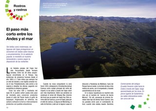 10 11
L
os helados parajes del Cajas han
sido frecuentados desde tiempos
remotos. Entre los 28 sitios arqueo-
lógicos encontrados en el Parque, hay
evidencias de presencia humana desde el
año 1800 a. C. Todo indica que siempre fue
un sitio de tránsito y una rápida conexión ha-
cia el mar. Probablemente, esto animó a los
viajeros a desafiar las alturas, pagando con
escalofríos la distancia ganada.
Entre los años 500 y mediados del
siglo XV, el pueblo cañari usaba este paso
de montaña para comerciar productos
desde el valle del Paute hasta el golfo de
Guayaquil. Organizados en señoríos, los
cañaris cultivaron la tierra e intercambiaron
productos con pueblos amazónicos.
El paso más
corto entre los
Andes y el mar
Tan bellas como misteriosas, las
lagunas del Cajas protagonizan un
sinnúmero de relatos sobre tesoros
y encantamientos. En la sabiduría
popular, la montaña se muestra
benevolente o severa según la
disposición de los visitantes.
Rostros
y rastros
Cuando los incas conquistaron la zona
hacia 1450,y designaron aTomebamba (actual
Cuenca) como ciudad principal del norte del
imperio, la vía cañari a través del Cajas cobró
aún más importancia. Sobre sus senderos se
construyó el ramal del Qhapaq Ñan (Camino
del Inca) que se puede ver hasta hoy. Este ca-
mino sale de Cuenca y,ya en el Cajas,pasa por
el valle de Llaviucu, la laguna de Mamámag, el
valle de Burines y sale por la laguna Luspa en
Comerciantes del antiguo
Ecuador trazaron rutas hacia la
Costa a través del Cajas, luego
aprovechadas por los incas. En
pocos lugares de Sudamérica,
los valles interandinos están
tan cerca del mar.
dirección a Paredones de Molleturo, fuera del
Parque hacia el oeste.La vía tiene de dos a tres
metros de ancho, con el empedrado y trazado
característicos de los incas.
En la época republicana se reactivó esta
ruta con el nombre de “camino de García
Moreno”. Por allí, caravanas de arrieros lle-
vaban todo tipo de bienes hacia Cuenca. Una
vía paralela sirvió para el contrabando de
licor, cuando este estaba tasado. Nombres
Una de las explicaciones para el nombre del
Cajas lo atribuye a la cantidad de lagunas
encajonadas en sus recovecos.
 