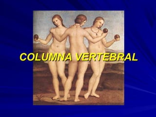 COLUMNA VERTEBRALCOLUMNA VERTEBRAL
 