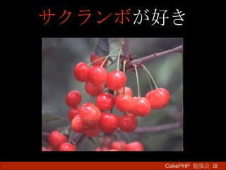 サクランボ が好き CakePHP  勉強会 Ⅲ　 