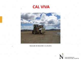 CAL VIVA

TRASLADO DE BOLSONES A LA PLANTA

 