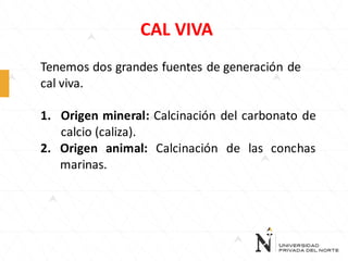 CAL VIVA
Tenemos dos grandes fuentes de generación de
cal viva.
1. Origen mineral: Calcinación del carbonato de
calcio (caliza).
2. Origen animal: Calcinación de las conchas
marinas.

 