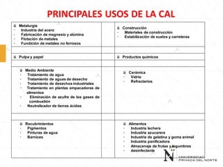 PRINCIPALES USOS DE LA CAL
ü Metalurgia
·
Industria del acero
·
Fabricación de magnesio y alúmina
·
Flotaciòn de metales
·
Fundición de metales no ferrosos

ü Pulpa y papel

ü Medio Ambiente
·
Tratamiento de agua
·
Tratamiento de aguas de desecho
·
Tratamiento de desechos industriales
· Tratamiento en plantas empacadoras de
alimentos
·
Eliminación de azufre de los gases de
combustión
·
Neutralizador de tierras ácidas

ü Recubrimientos
·
Pigmentos
·
Pinturas de agua
·
Barnices

ü Construcción
·
Materiales de construcción
·
Estabilización de suelos y carreteras

ü Productos químicos

ü Cerámica
·
Vidrio
·
Refractarios

ü Alimentos
·
Industria lechera
·
Industria azucarera
·
Industria de gelatina y goma animal
·
Industria panificadora
·
Almacenaje de frutas y legumbres
·
desinfectante

 