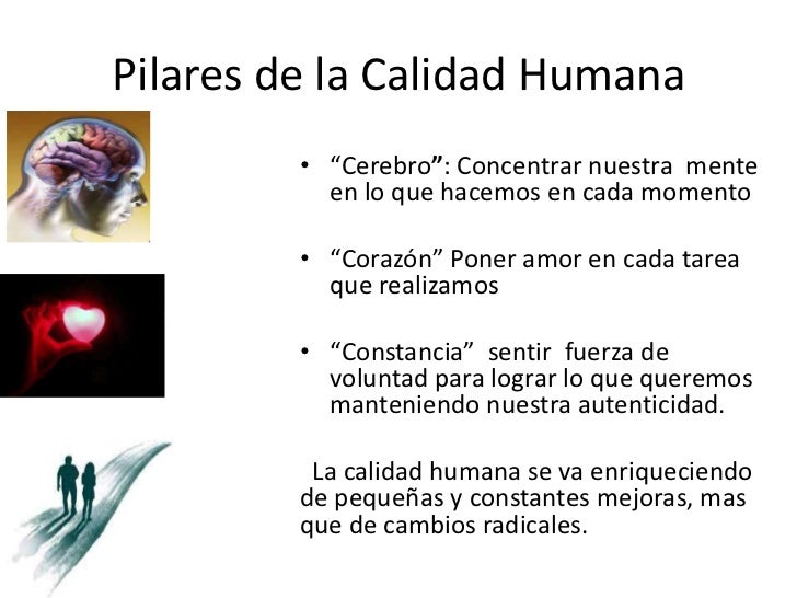 Taller Calidad Humana