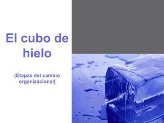 El cubo de hielo (Etapas del cambio organizacional) 