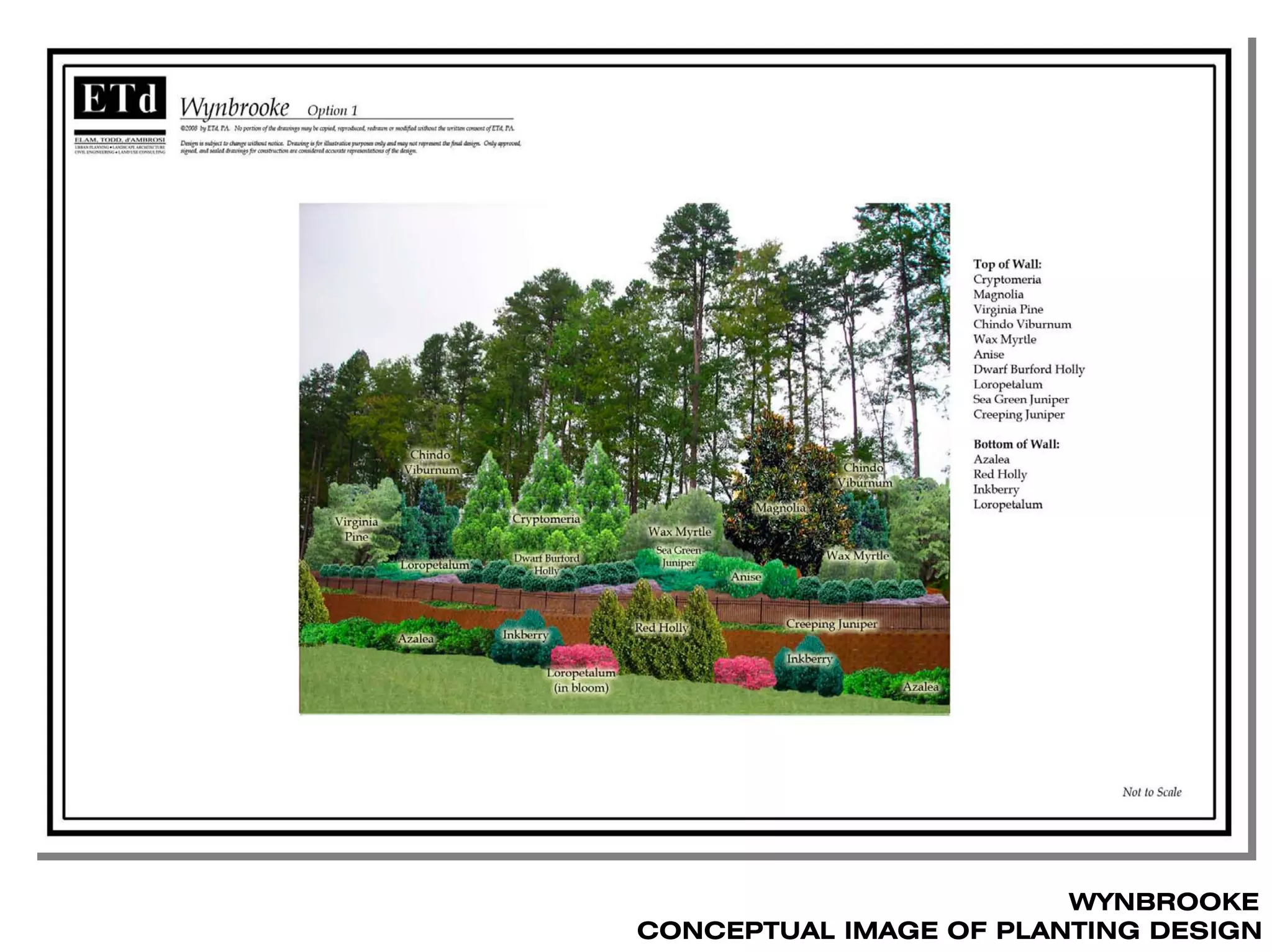 WYNBROOKE
CONCEPTUAL IMAGE OF PLANTING DESIGN
 