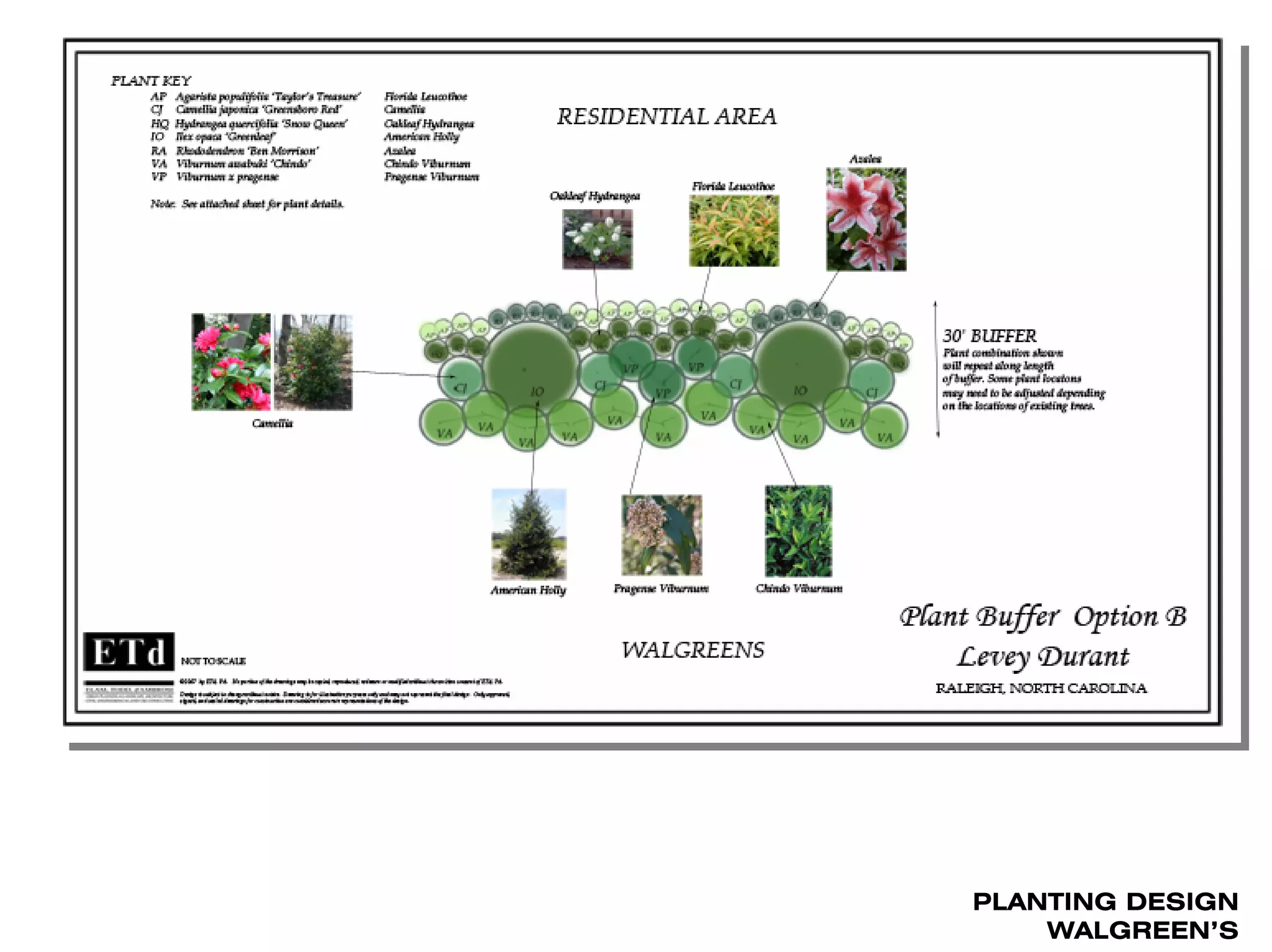 PLANTING DESIGN
    WALGREEN’S
 