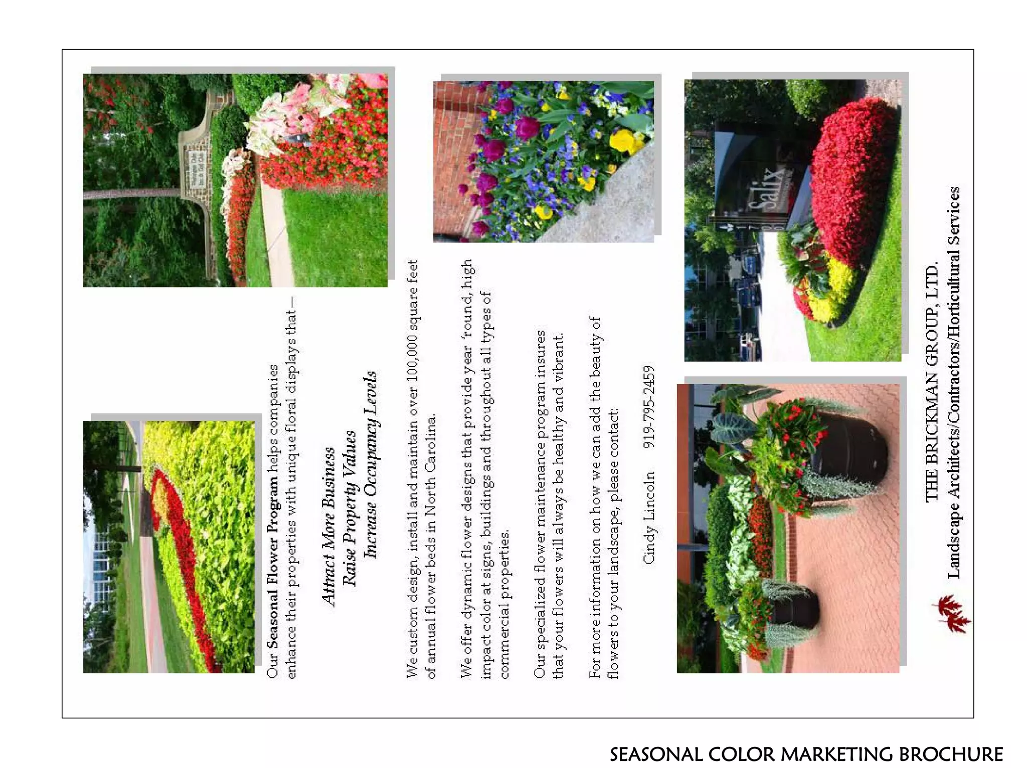 SEASONAL COLOR MARKETING BROCHURE
 
