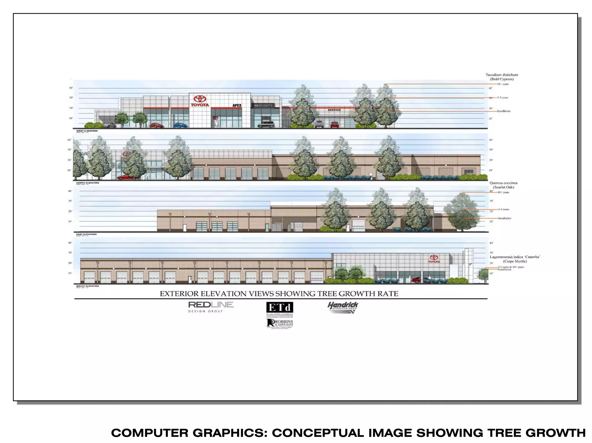 COMPUTER GRAPHICS: CONCEPTUAL IMAGE SHOWING TREE GROWTH
 