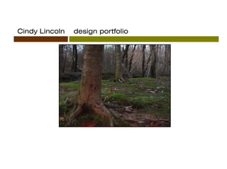 Cindy Lincoln   design portfolio
 